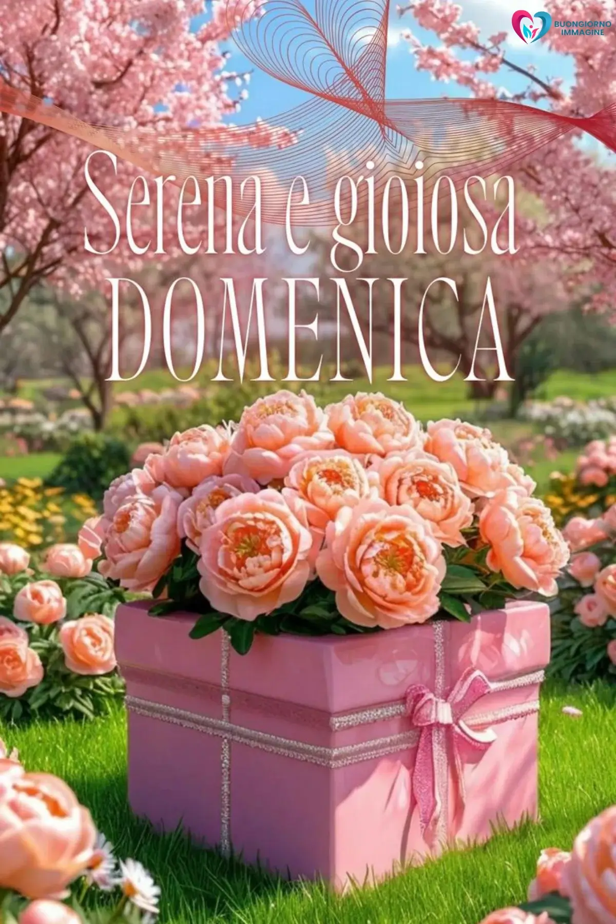 immagini buongiorno buona domenica con luce dorata mattina