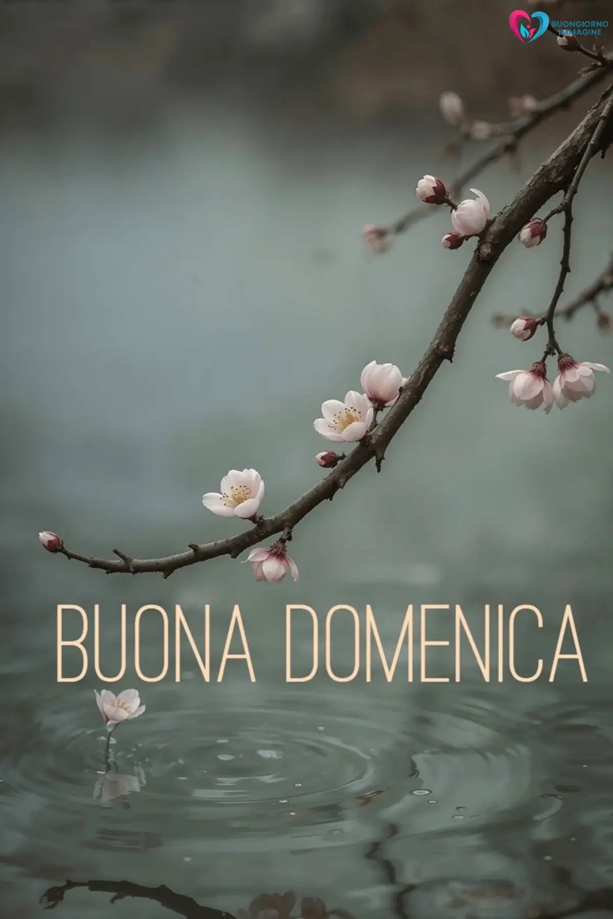 immagini buongiorno buona domenica con paesaggi naturali