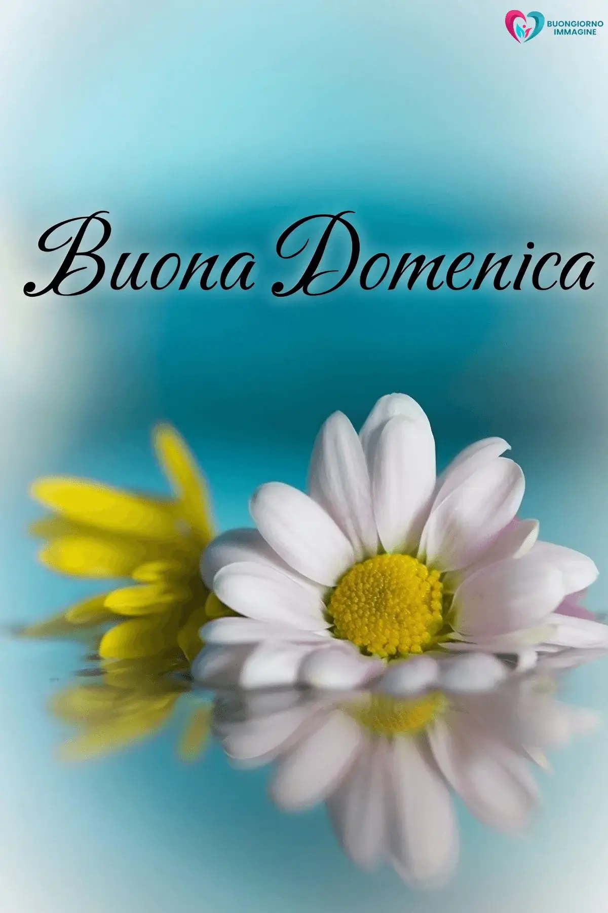 immagini buongiorno buona domenica con sole splendente