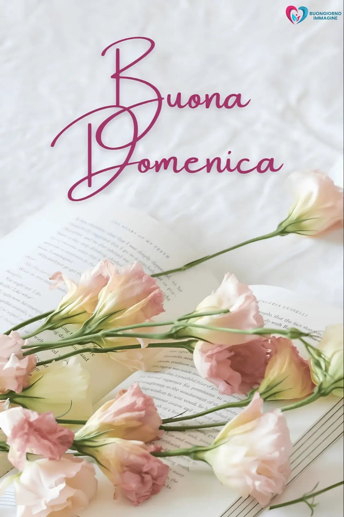 immagini buongiorno buona domenica per WhatsApp gratis