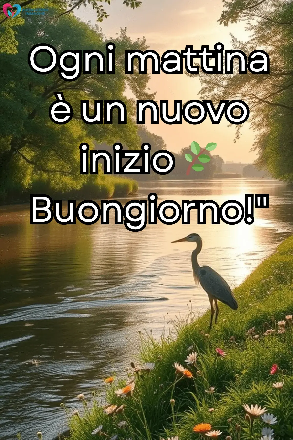 immagini buongiorno classico con stile pulito e naturale