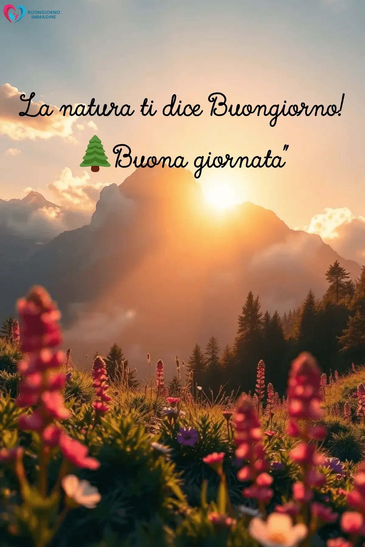 immagini buongiorno classico eleganti da condividere