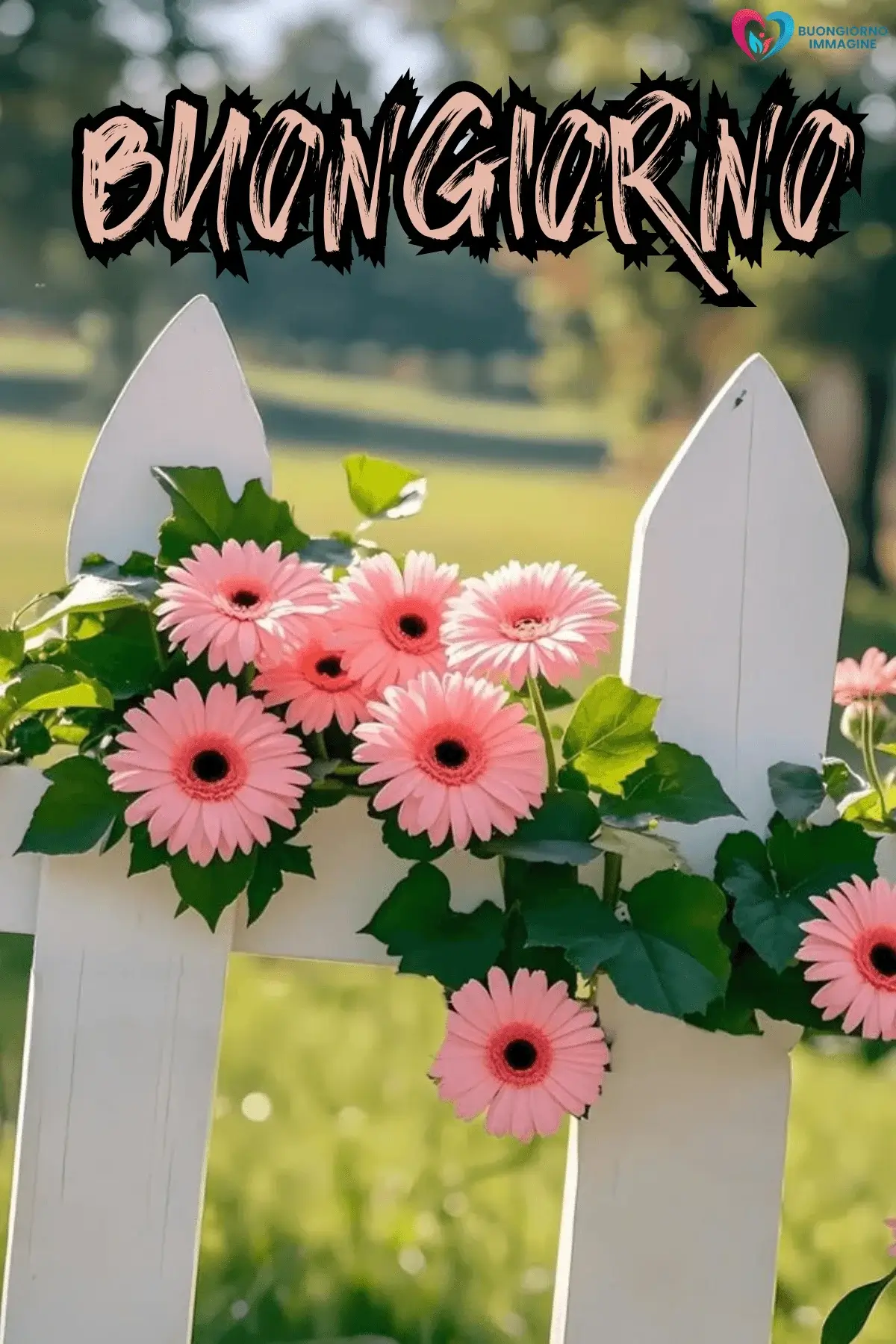 immagini buongiorno con bouquet delicato