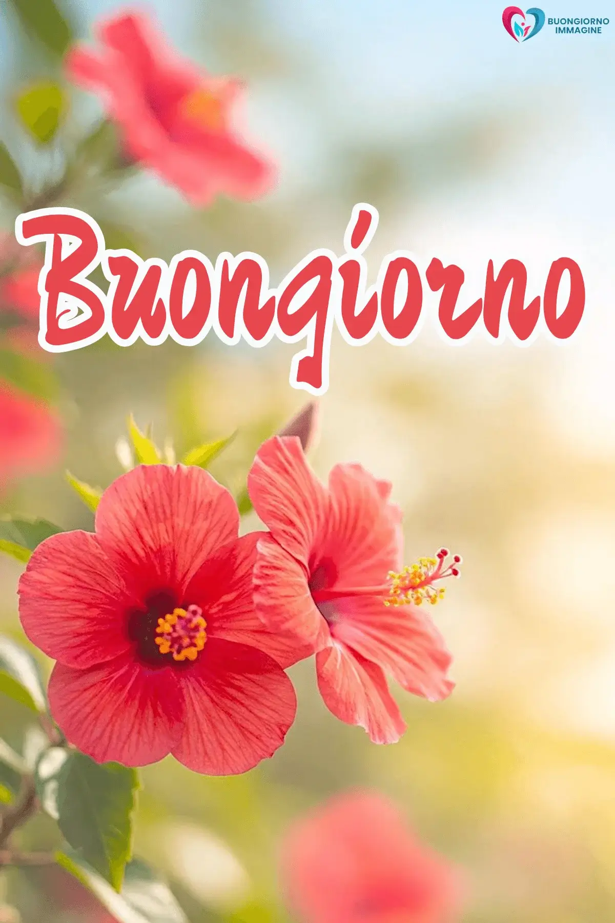 immagini buongiorno con bouquet elegante moderno