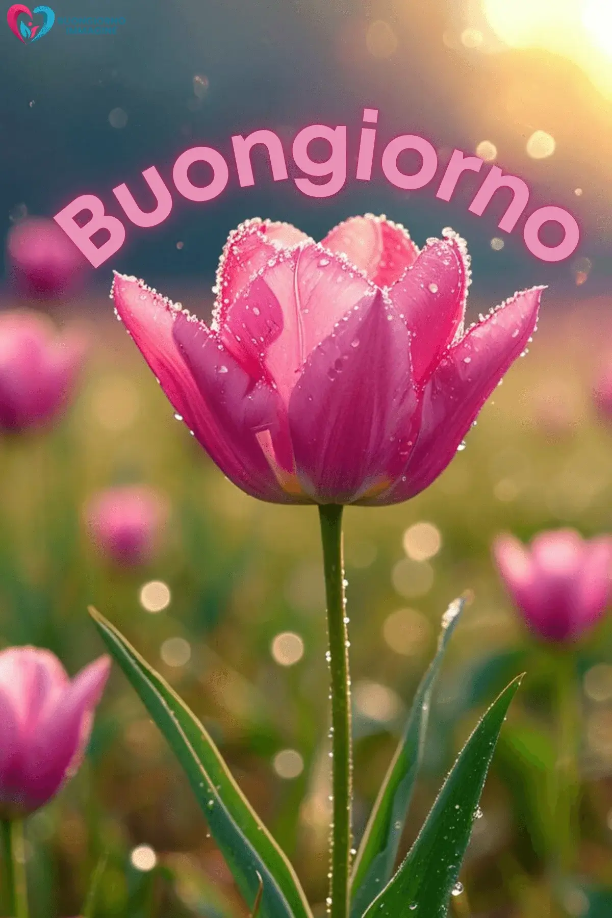 immagini buongiorno con citazioni motivazionali nuove