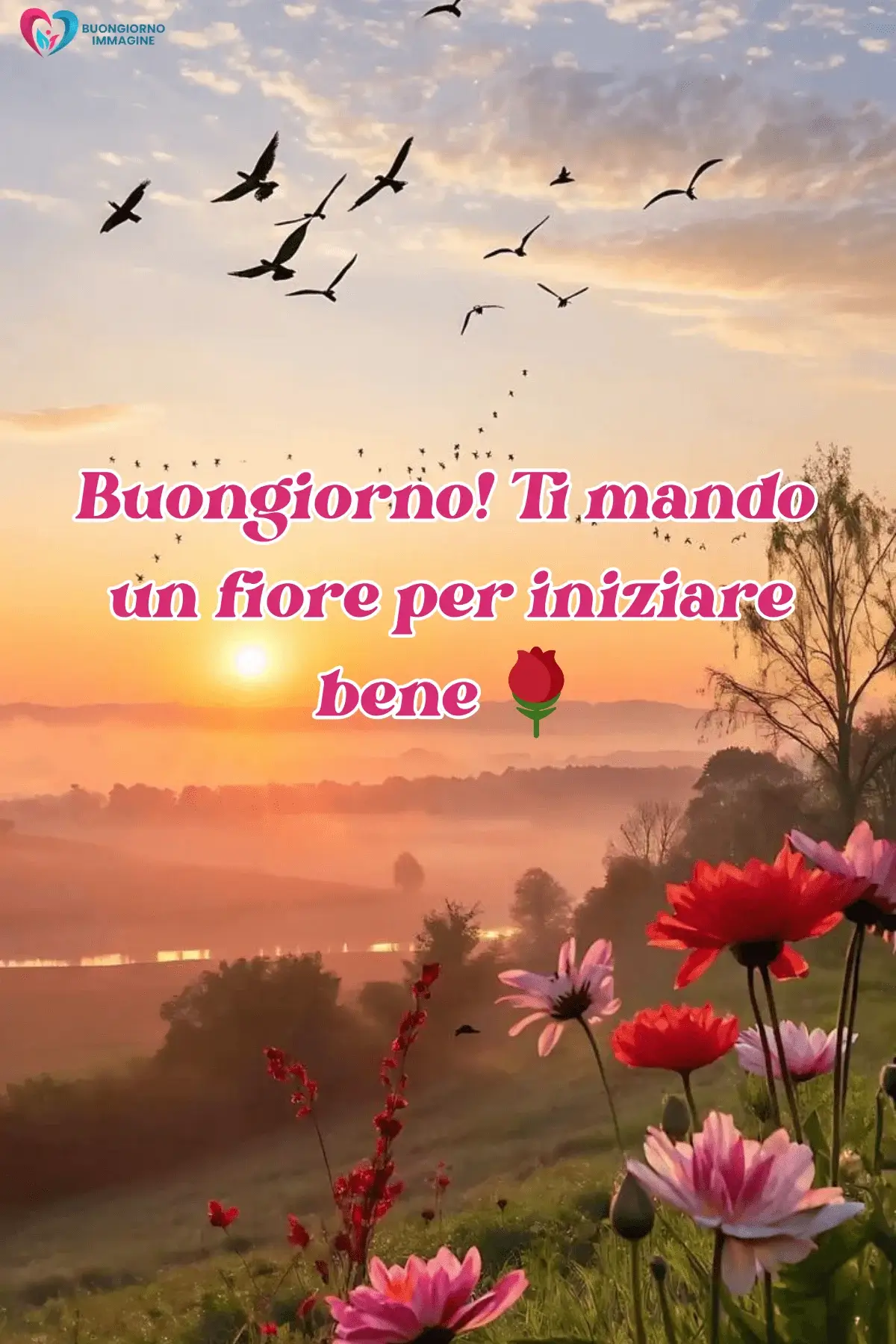 immagini buongiorno con fiori colorati per whatsapp