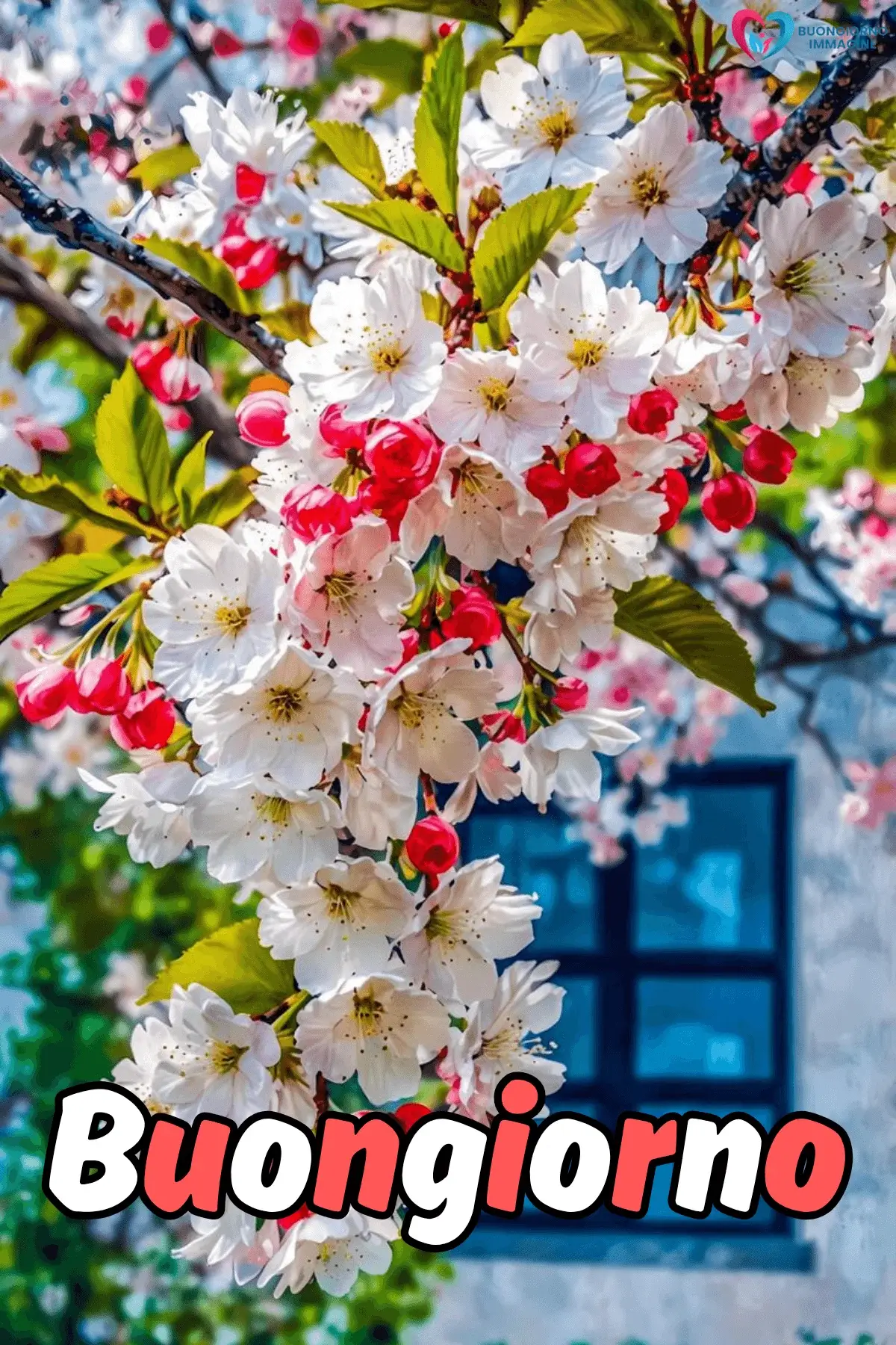 immagini buongiorno con fiori e farfalle