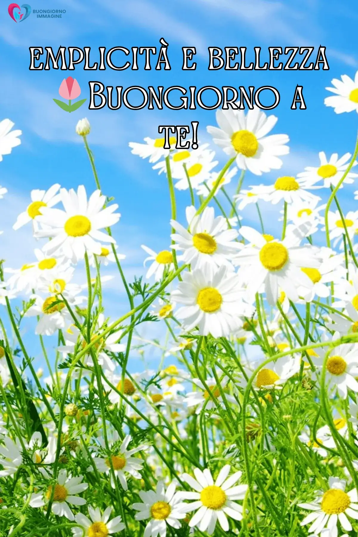 immagini buongiorno con girasoli e atmosfera positiva
