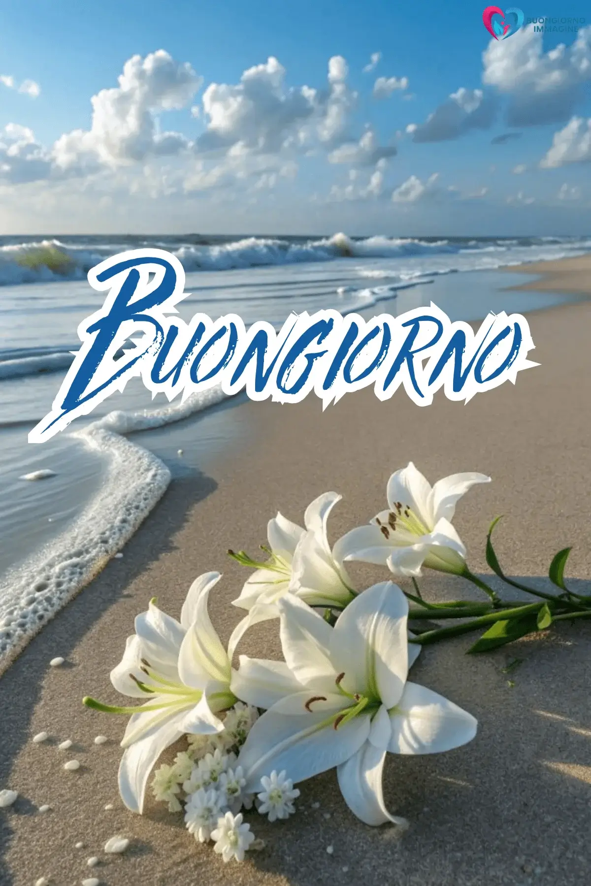 immagini buongiorno con margherite bianche