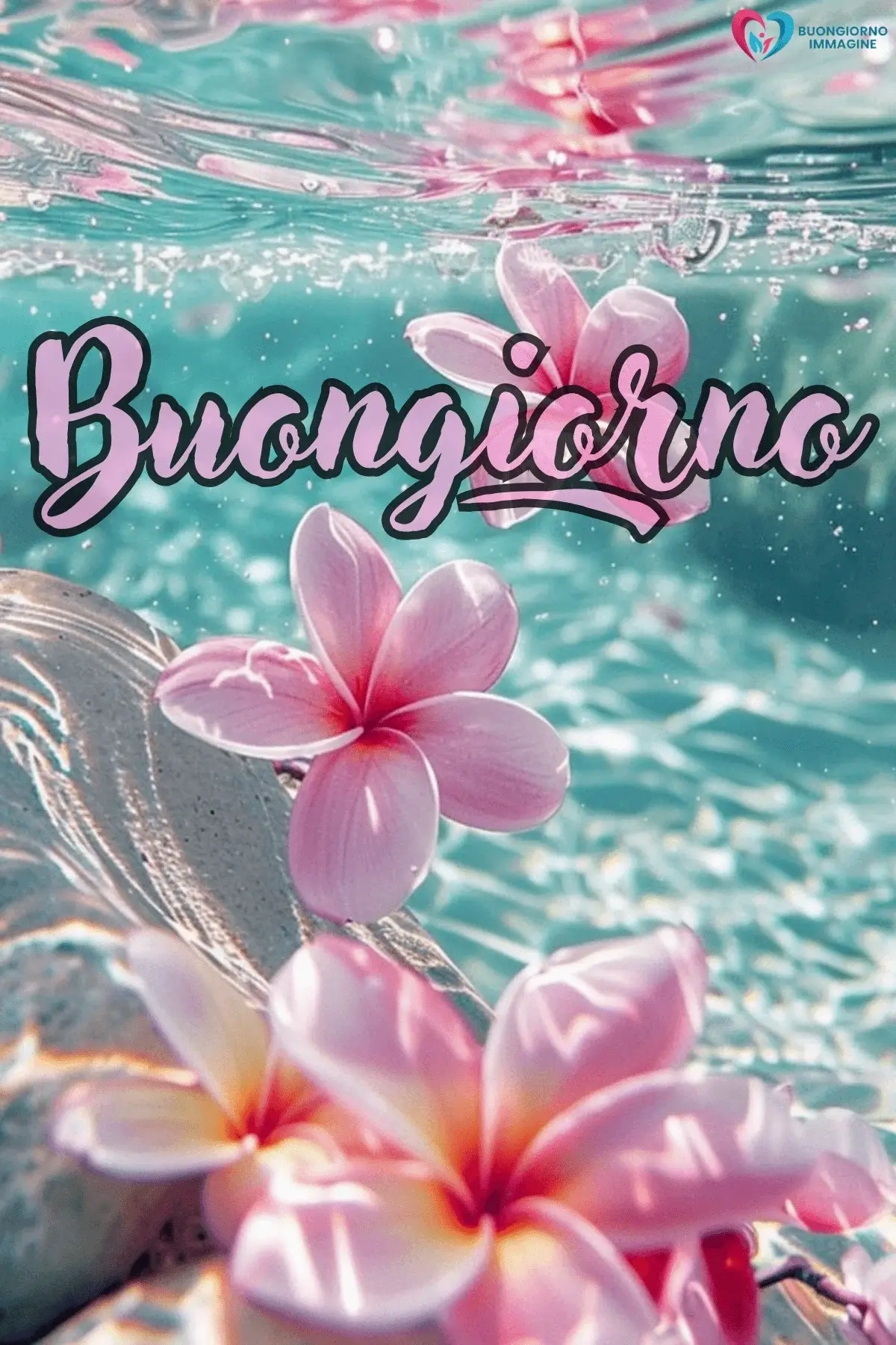 immagini buongiorno con margherite gialle