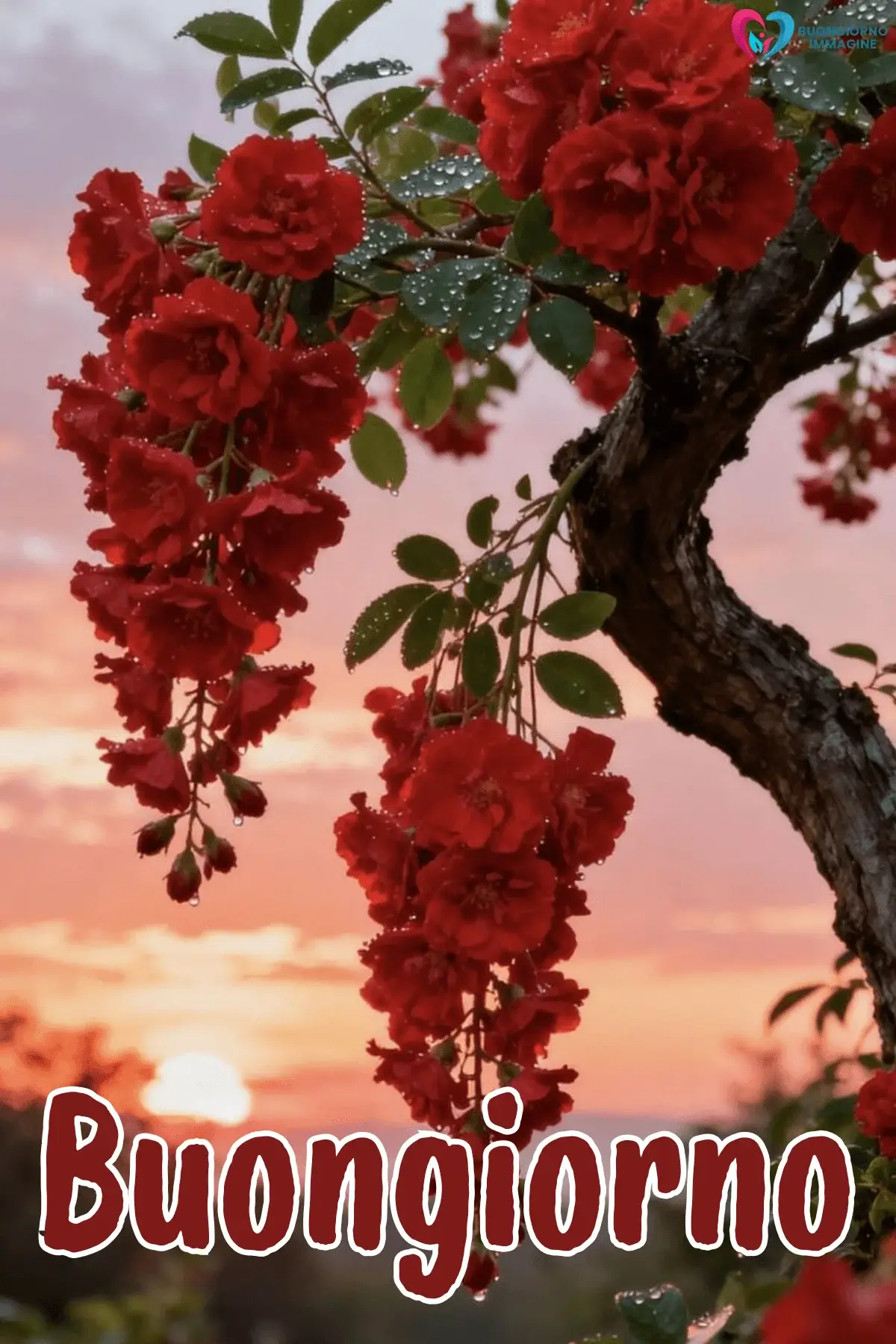 immagini buongiorno con natura primaverile