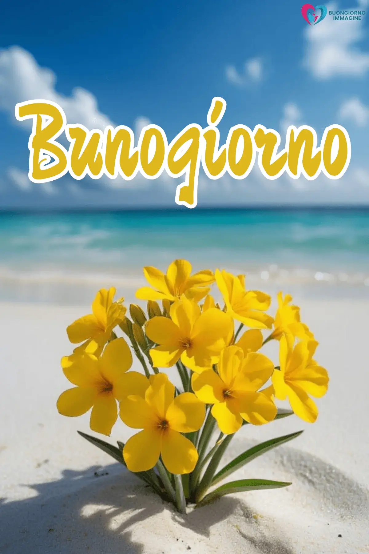immagini buongiorno con peonie e sole