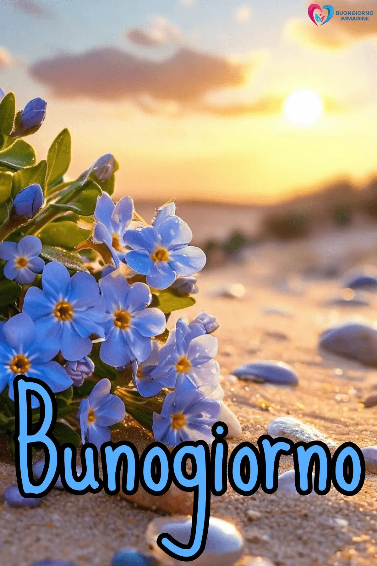 immagini buongiorno con rose colorate fresche