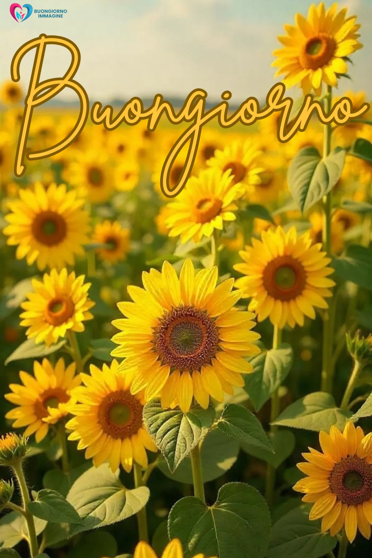 buongiorno gratis whatsapp con bouquet di rose fresche
