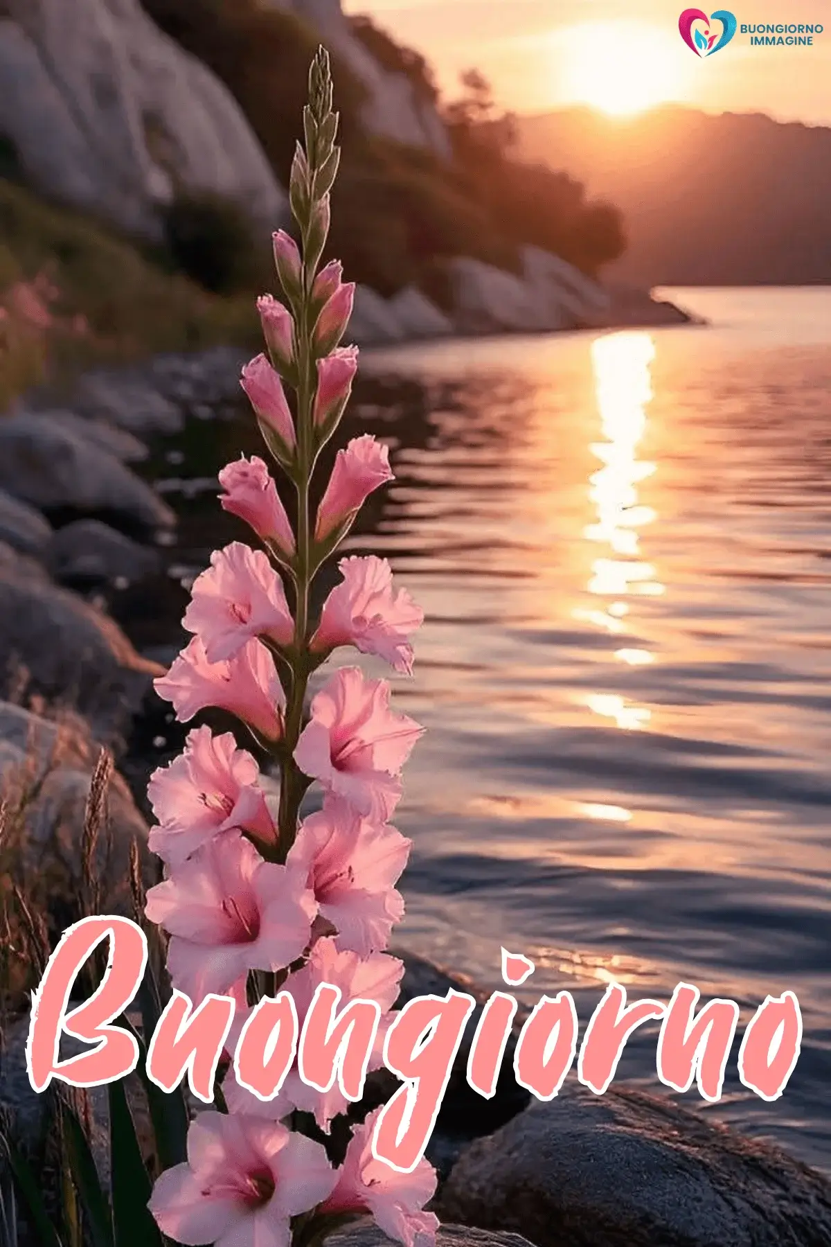 immagini buongiorno floreali rilassanti