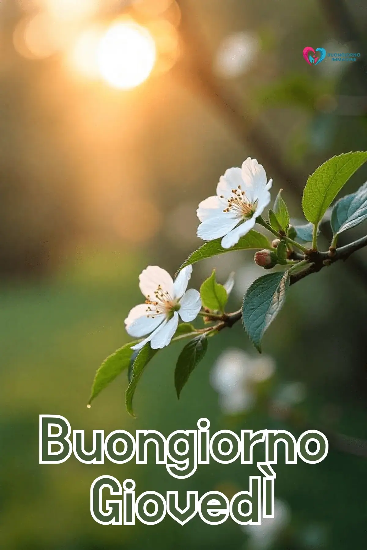 immagini buongiorno giovedì con cielo luminoso