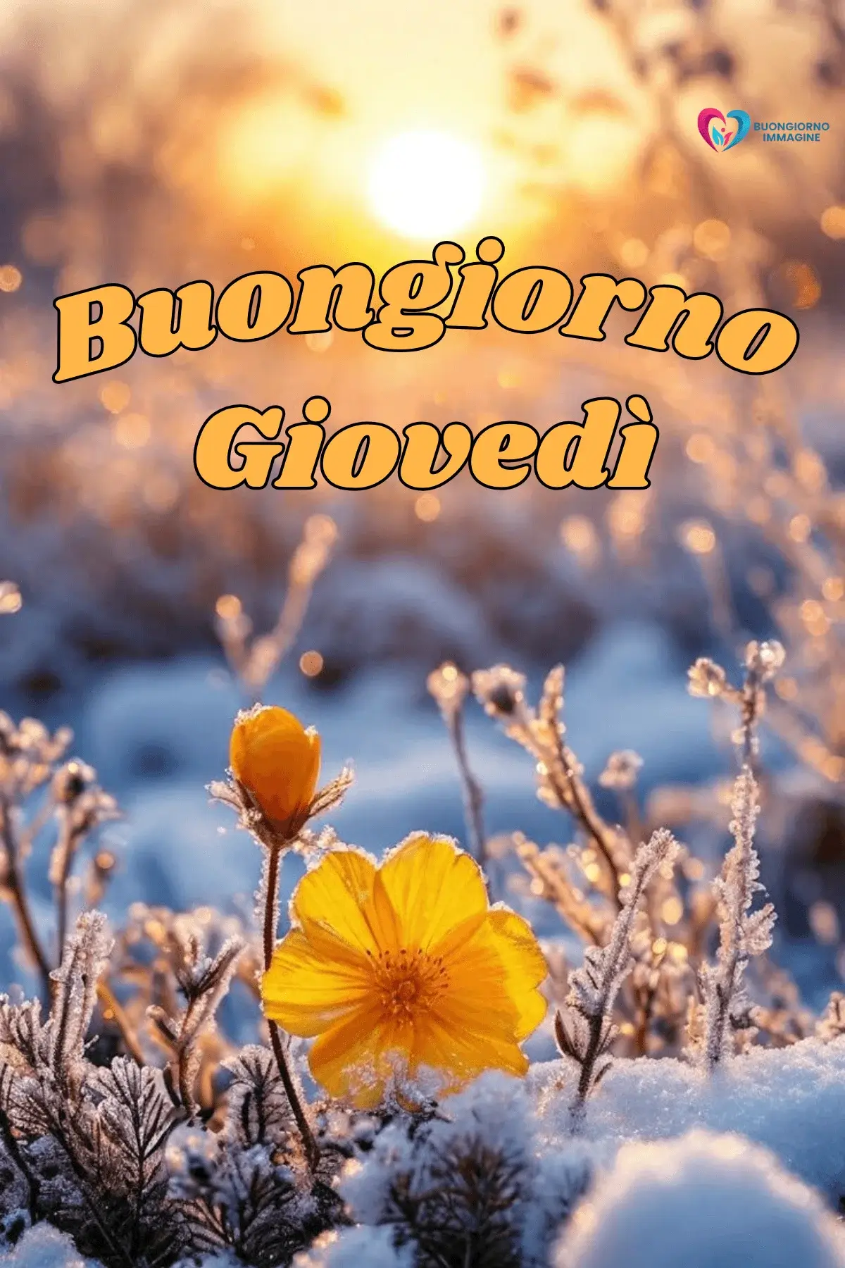 immagini buongiorno giovedì con energia mattutina