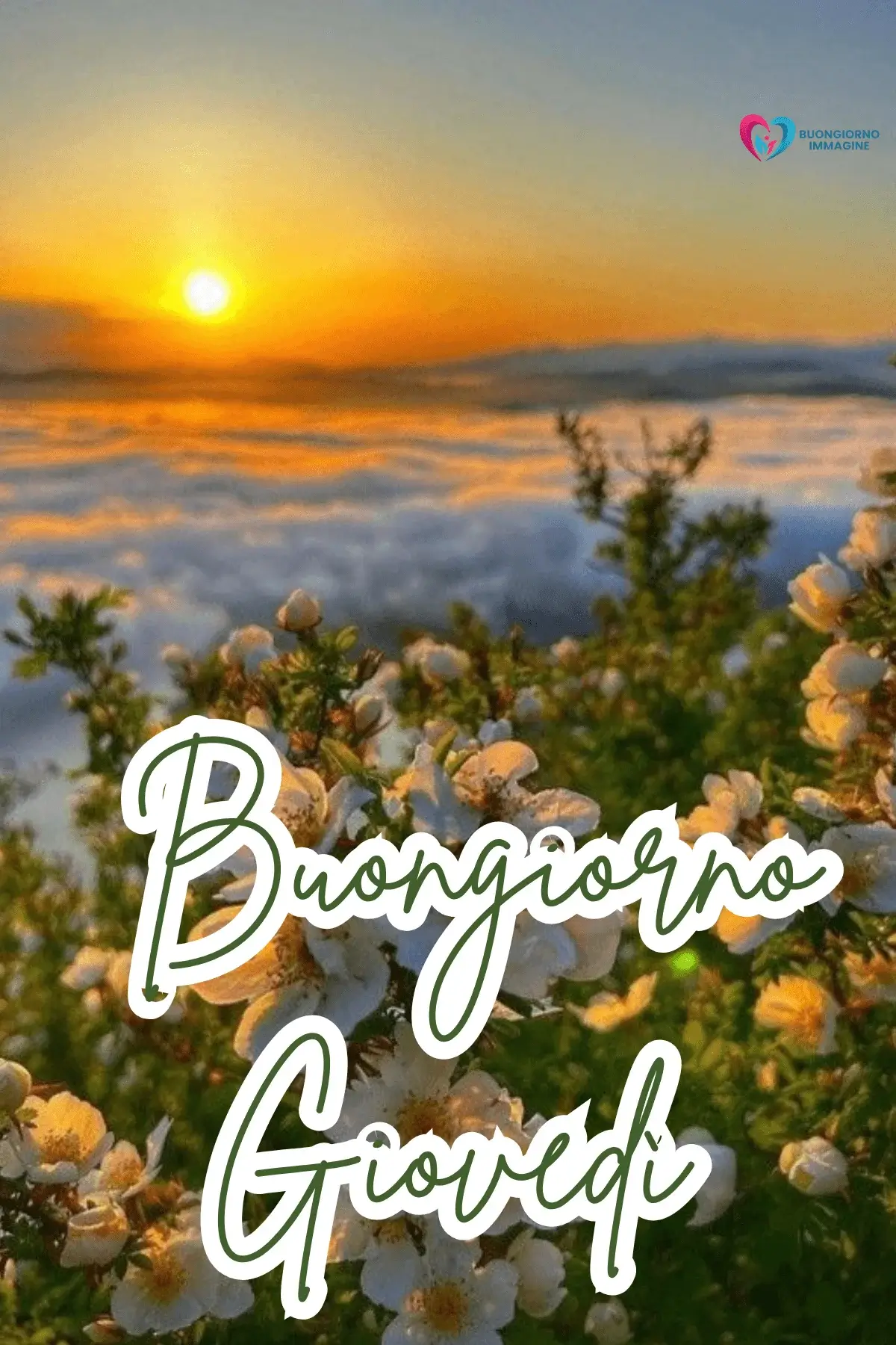 immagini buongiorno giovedì con energia positiva mattina