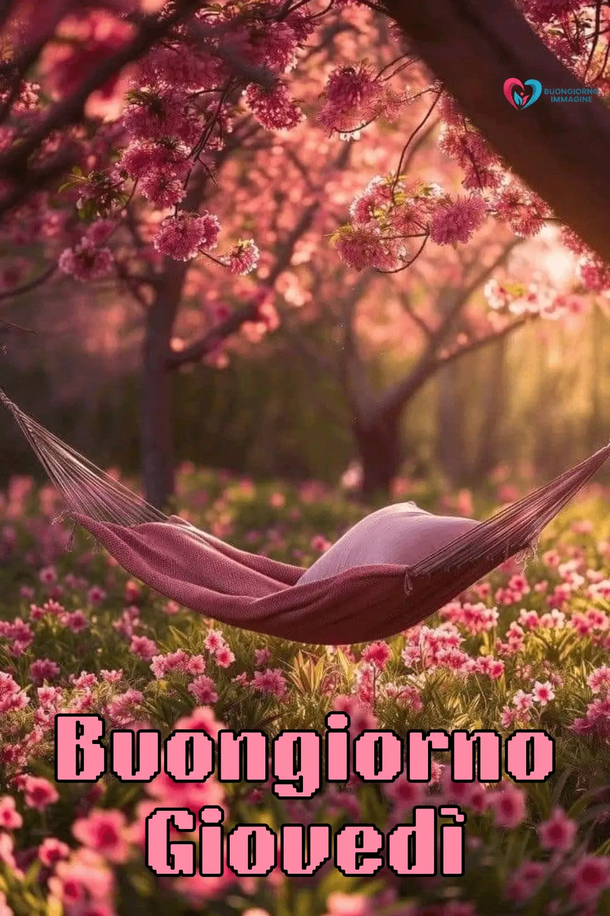 immagini buongiorno giovedì con luce del sole