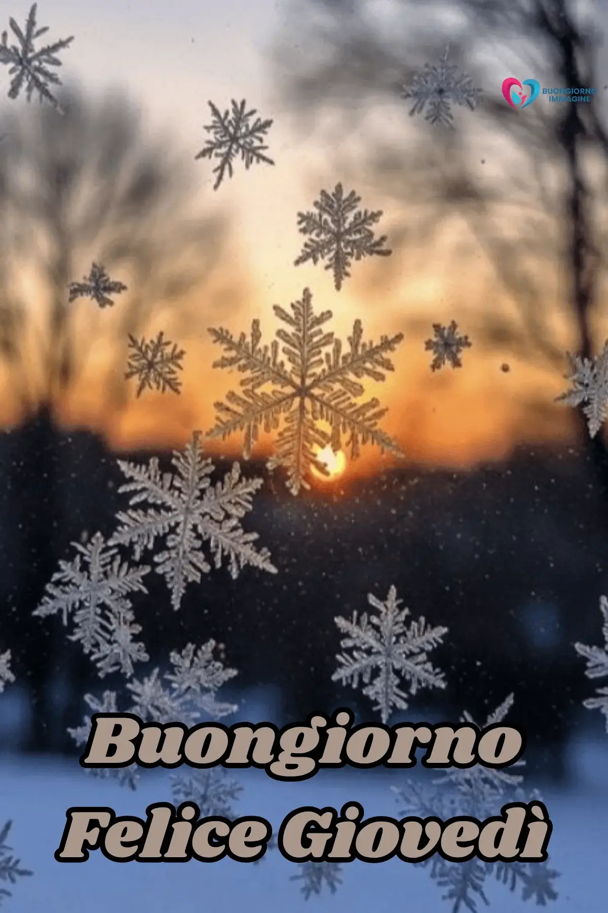 immagini buongiorno giovedì con luce naturale