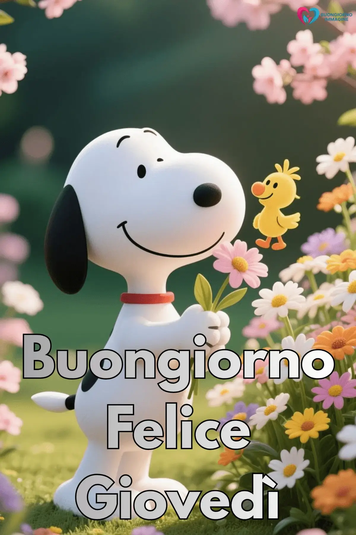 immagini buongiorno giovedì con messaggi per amici stretti