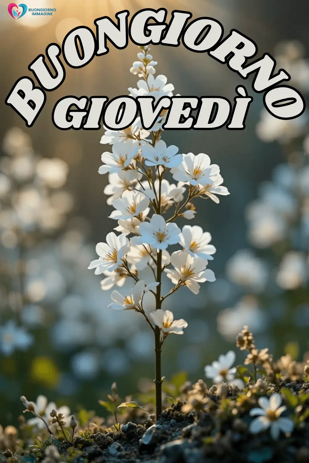 immagini buongiorno giovedì con natura e relax