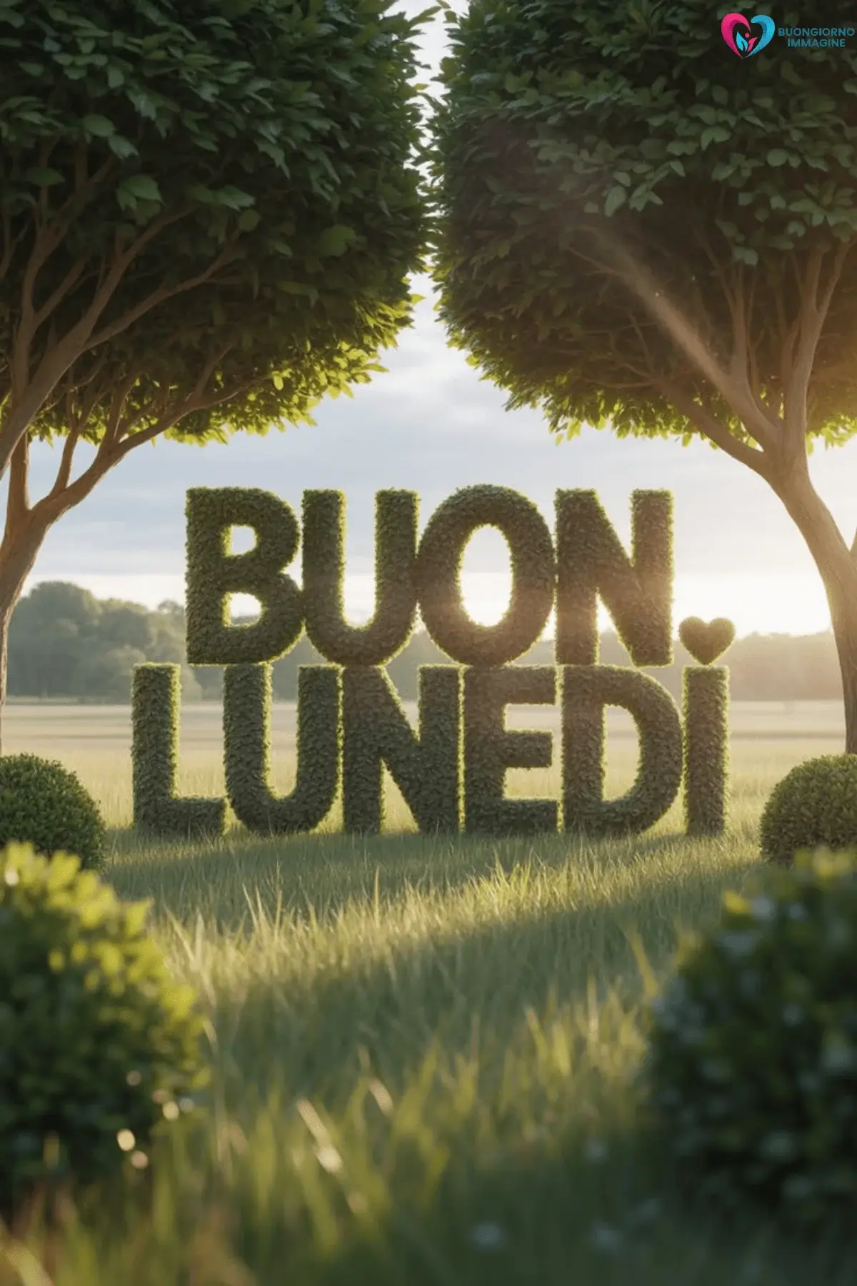 immagini buongiorno lunedì buongiorno positivo