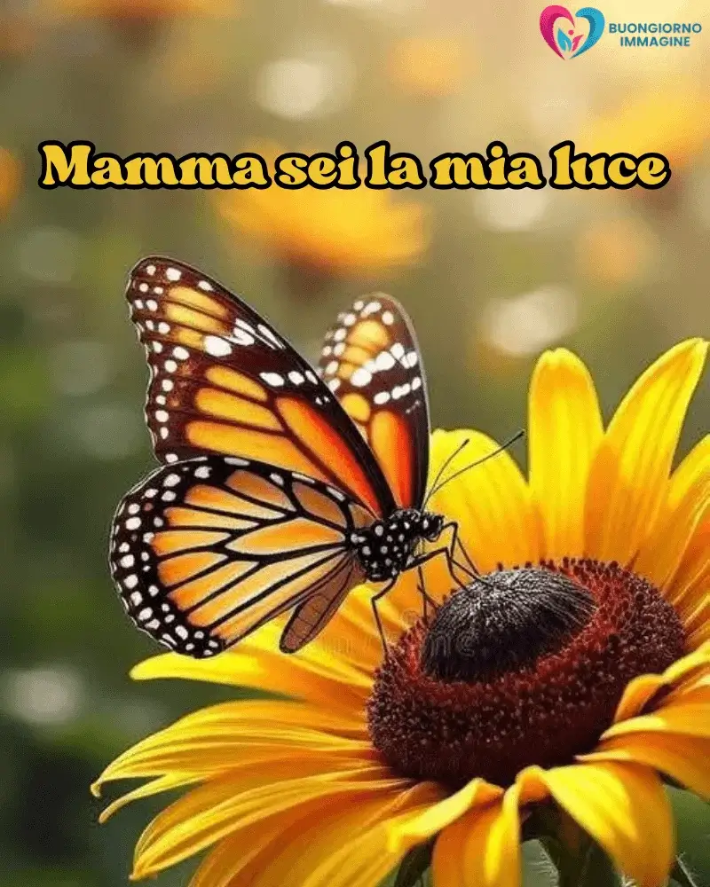 immagini buongiorno mamma mobile friendly