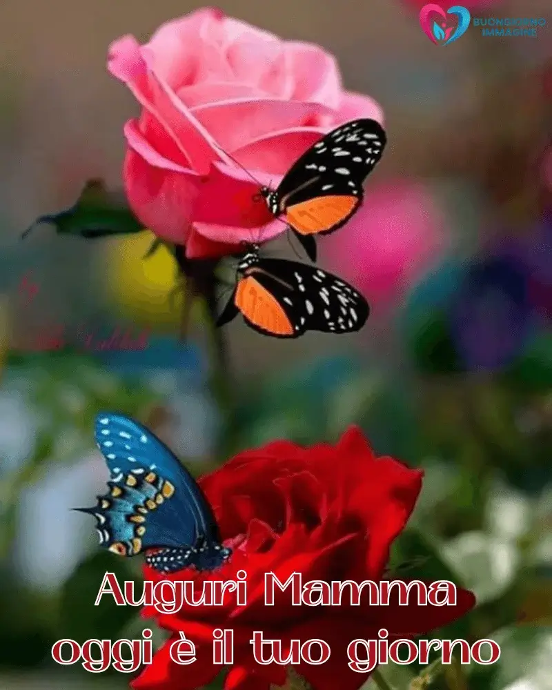 immagini buongiorno mamma ottimizzate whatsapp
