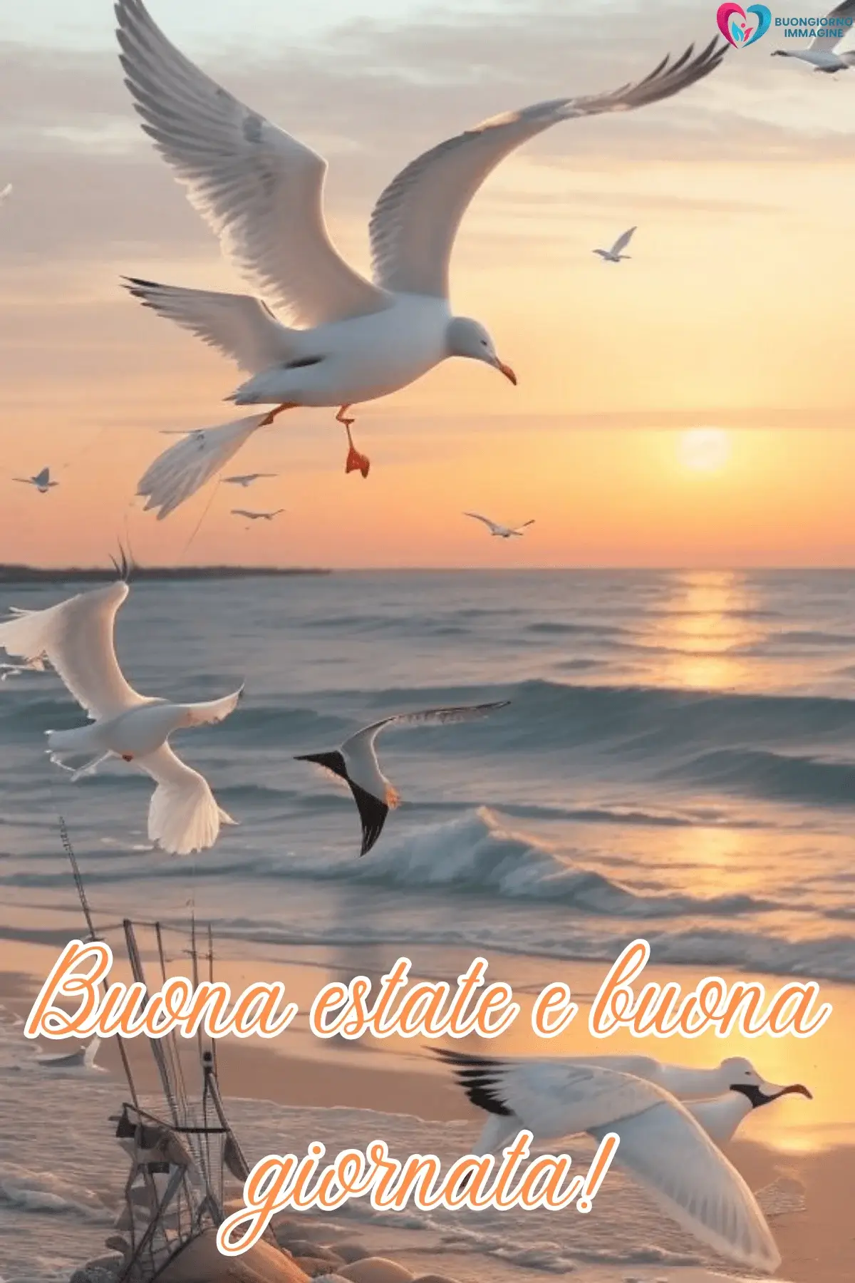 buongiorno estate sereno gabbiani volo oceano onde atmosfera romantica