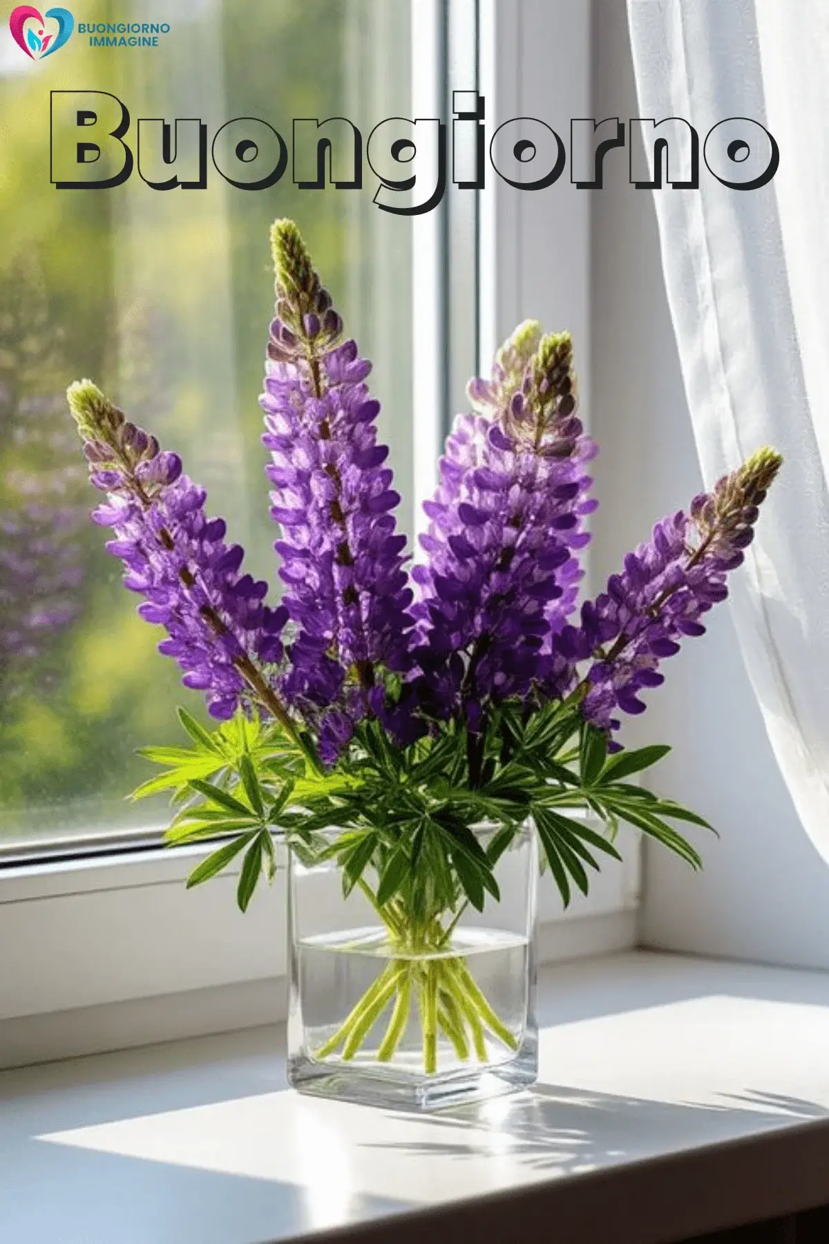immagini buongiorno nuove con amore e serenità