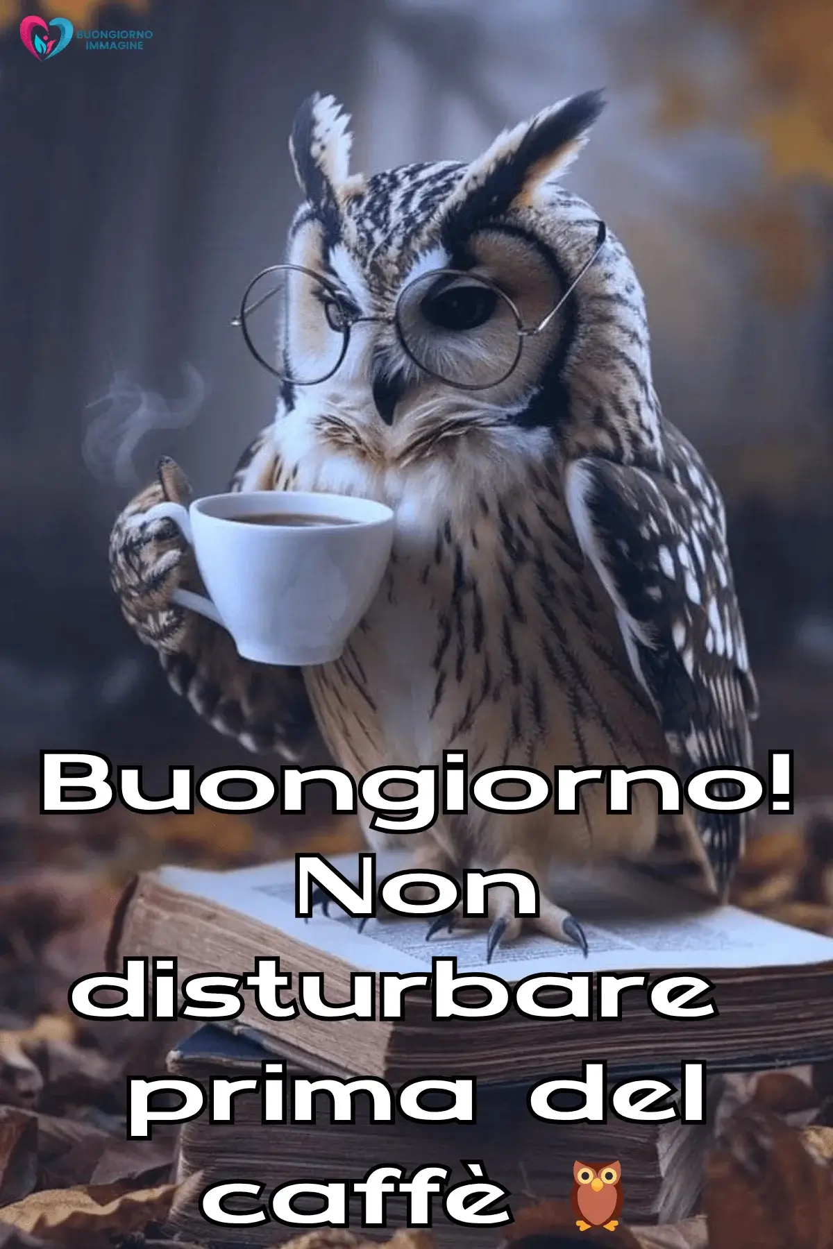 immagini buongiorno nuove gratis con atmosfera positiva