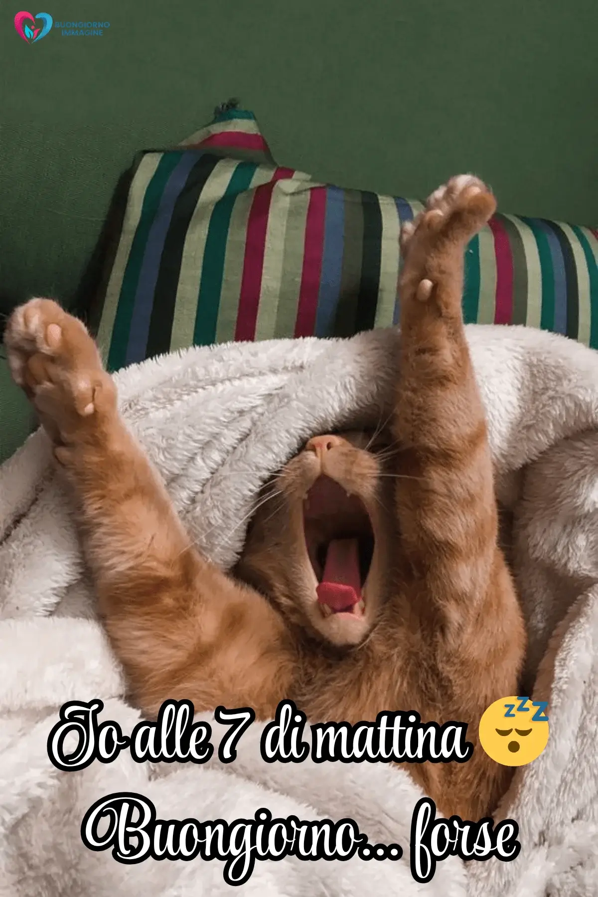 immagini buongiorno nuove gratis da condividere su whatsapp