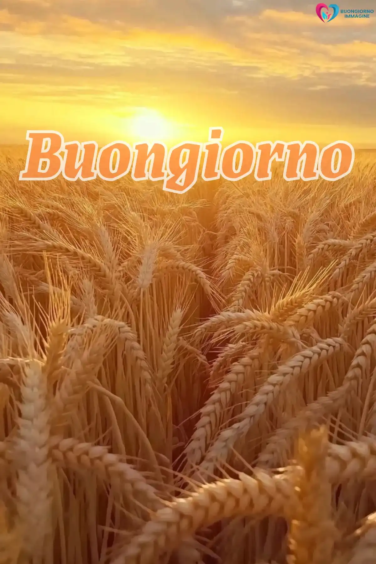 immagini buongiorno divertenti con finestra aperta e luce calda