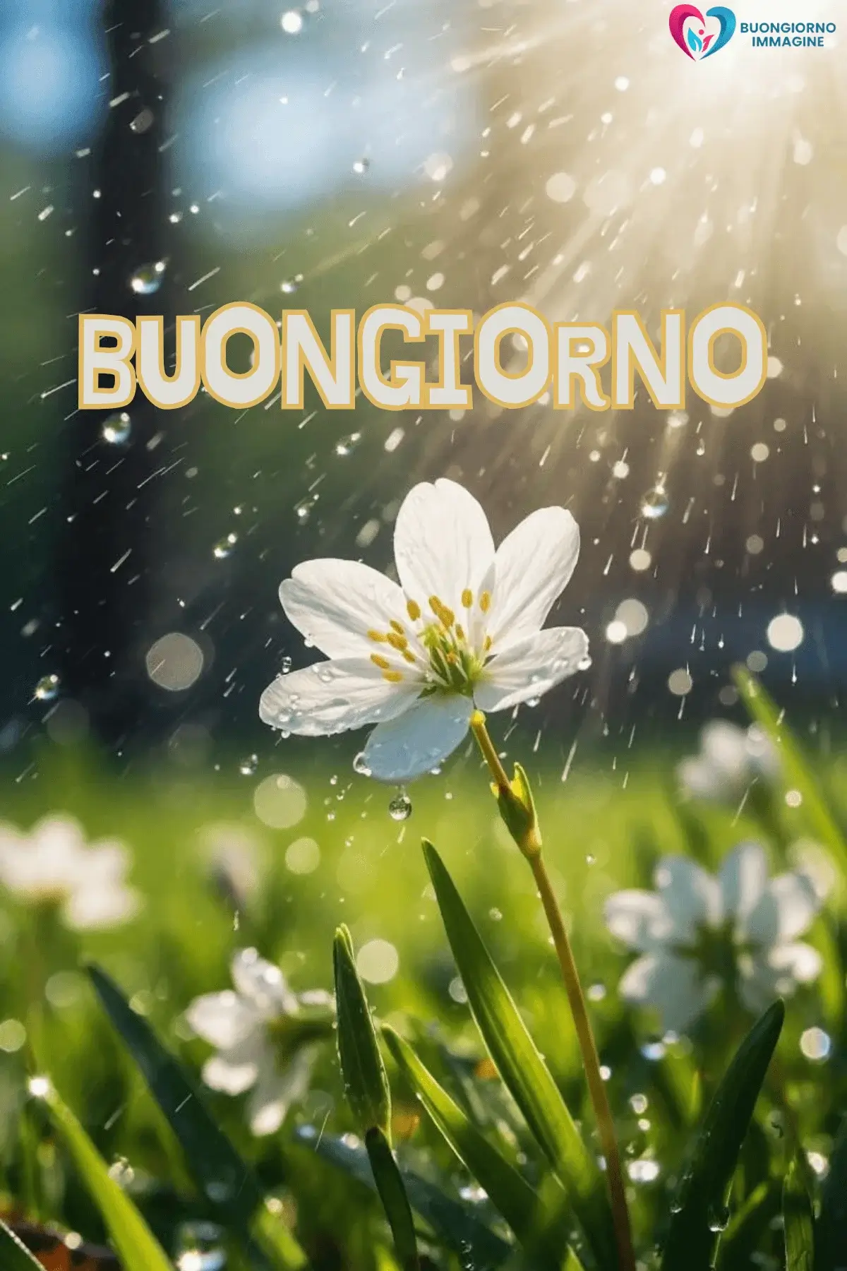 immagini buongiorno pioggia autunnale rilassante