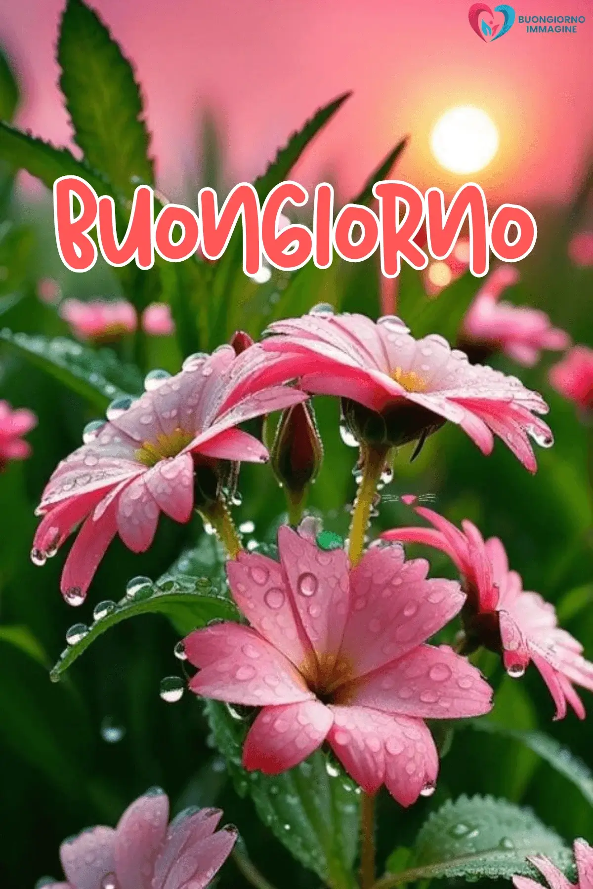 immagini buongiorno pioggia con finestra panoramica