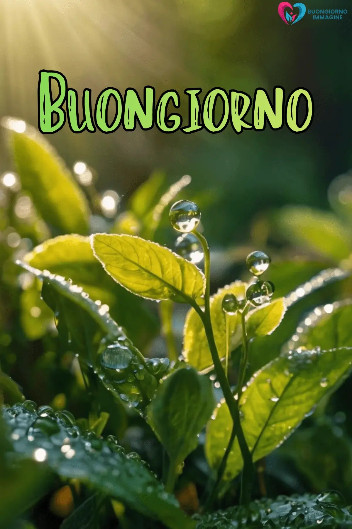 immagini buongiorno pioggia con gatto e caffè
