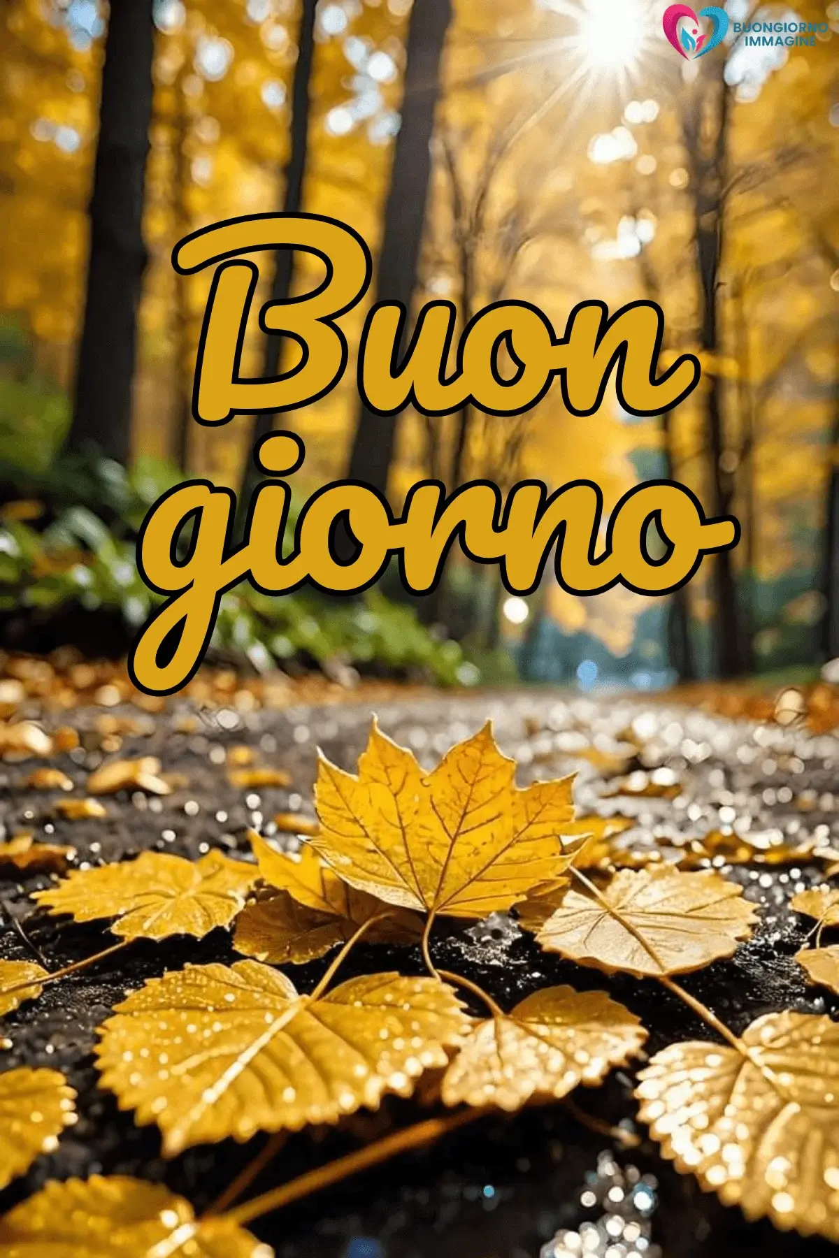 immagini buongiorno pioggia con gocce d’acqua