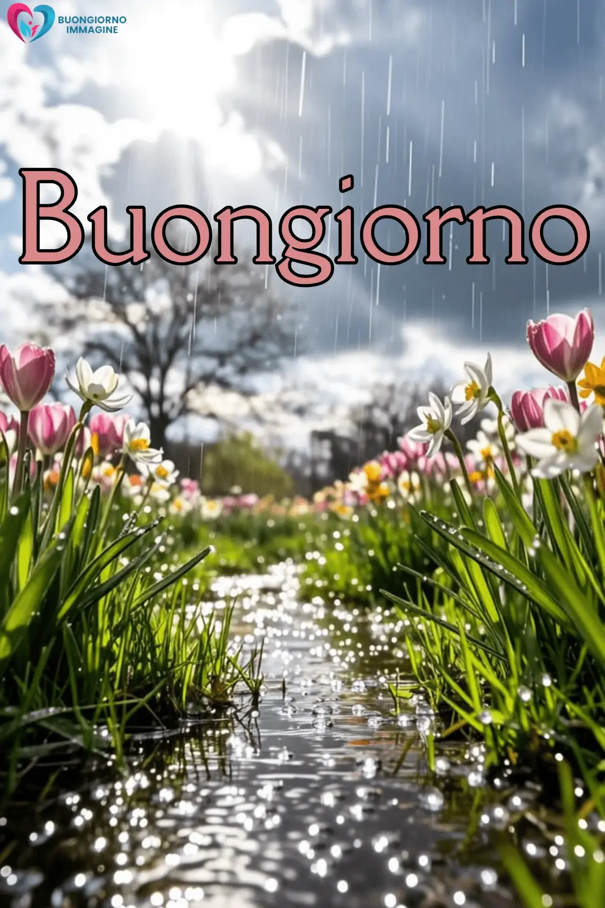 immagini buongiorno pioggia con rose bagnate