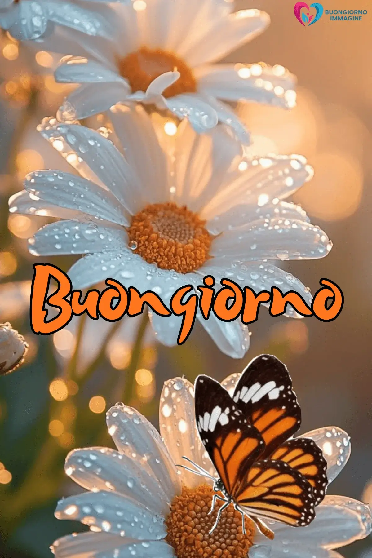 immagini buongiorno pioggia con serenità quotidiana