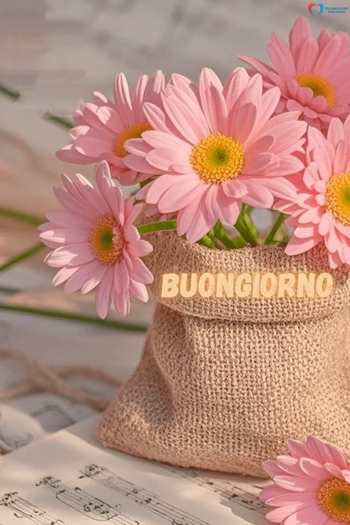 buongiorno bellissime whatsapp con sorriso mattutino