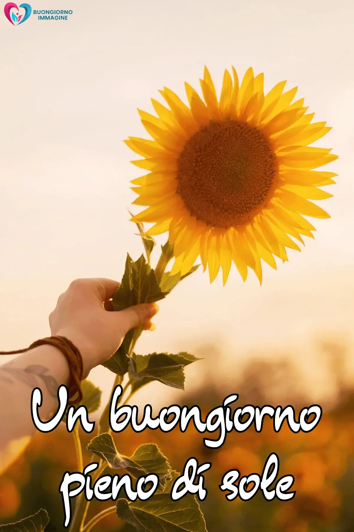 immagini buongiorno raffinate e moderne italiane