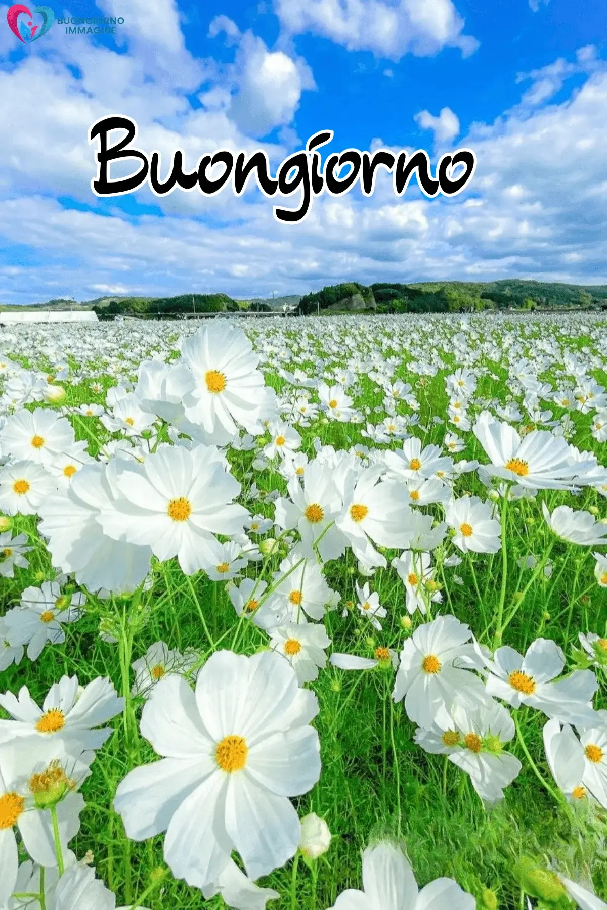 immagini buongiorno spettacolari con stile artistico