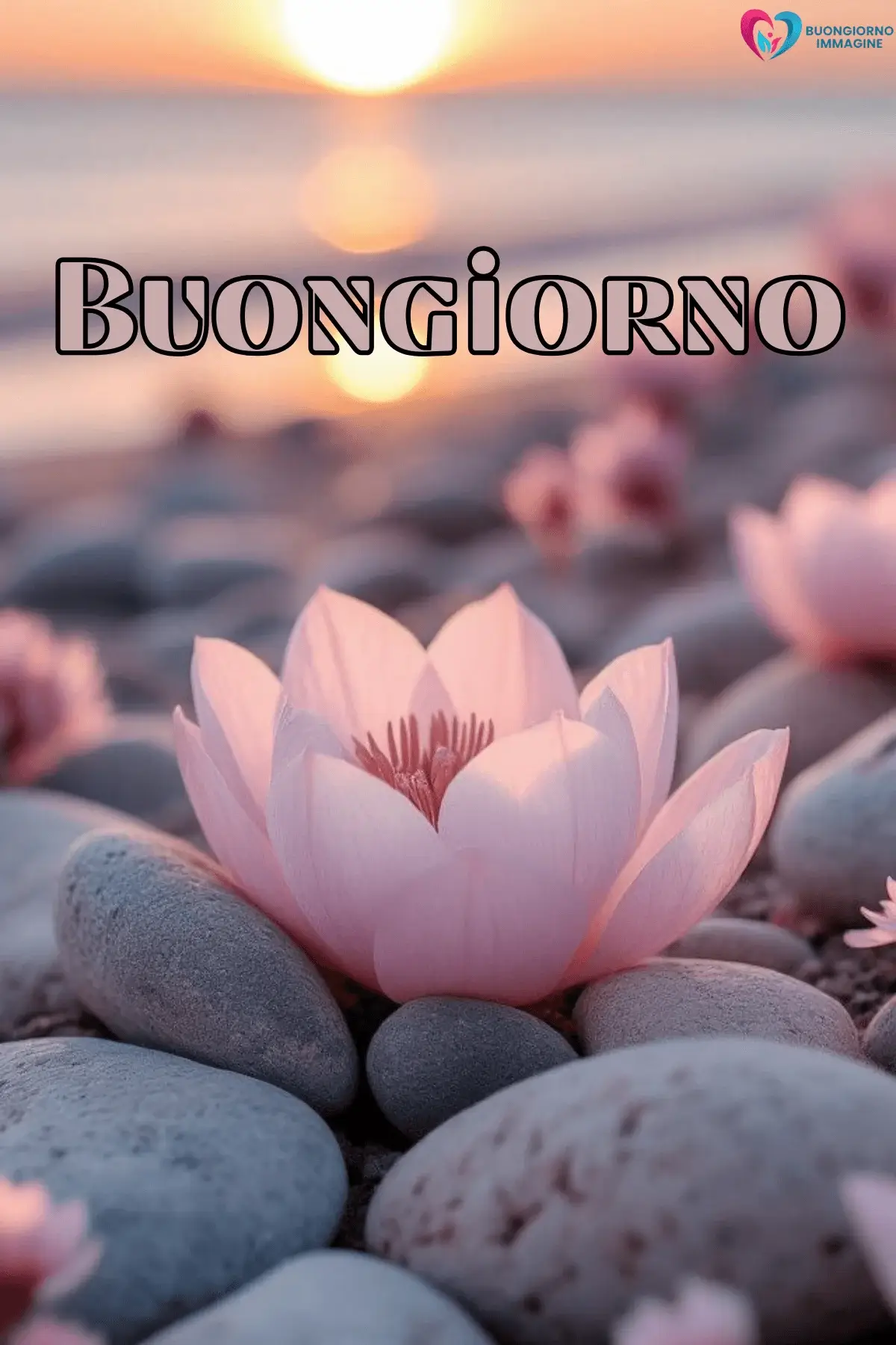 immagini buongiorno uniche la pietra bianca