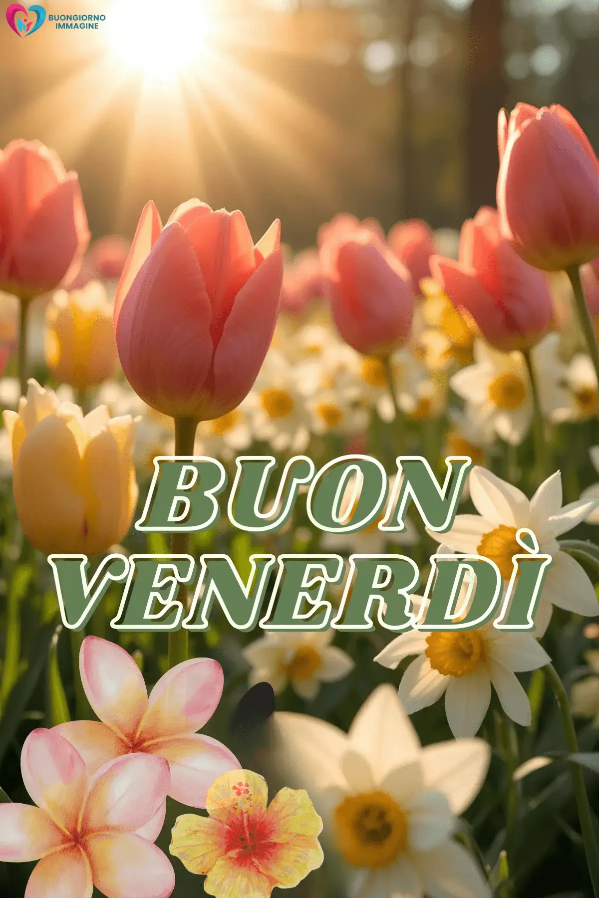 immagini buongiorno venerdì con atmosfera rilassante