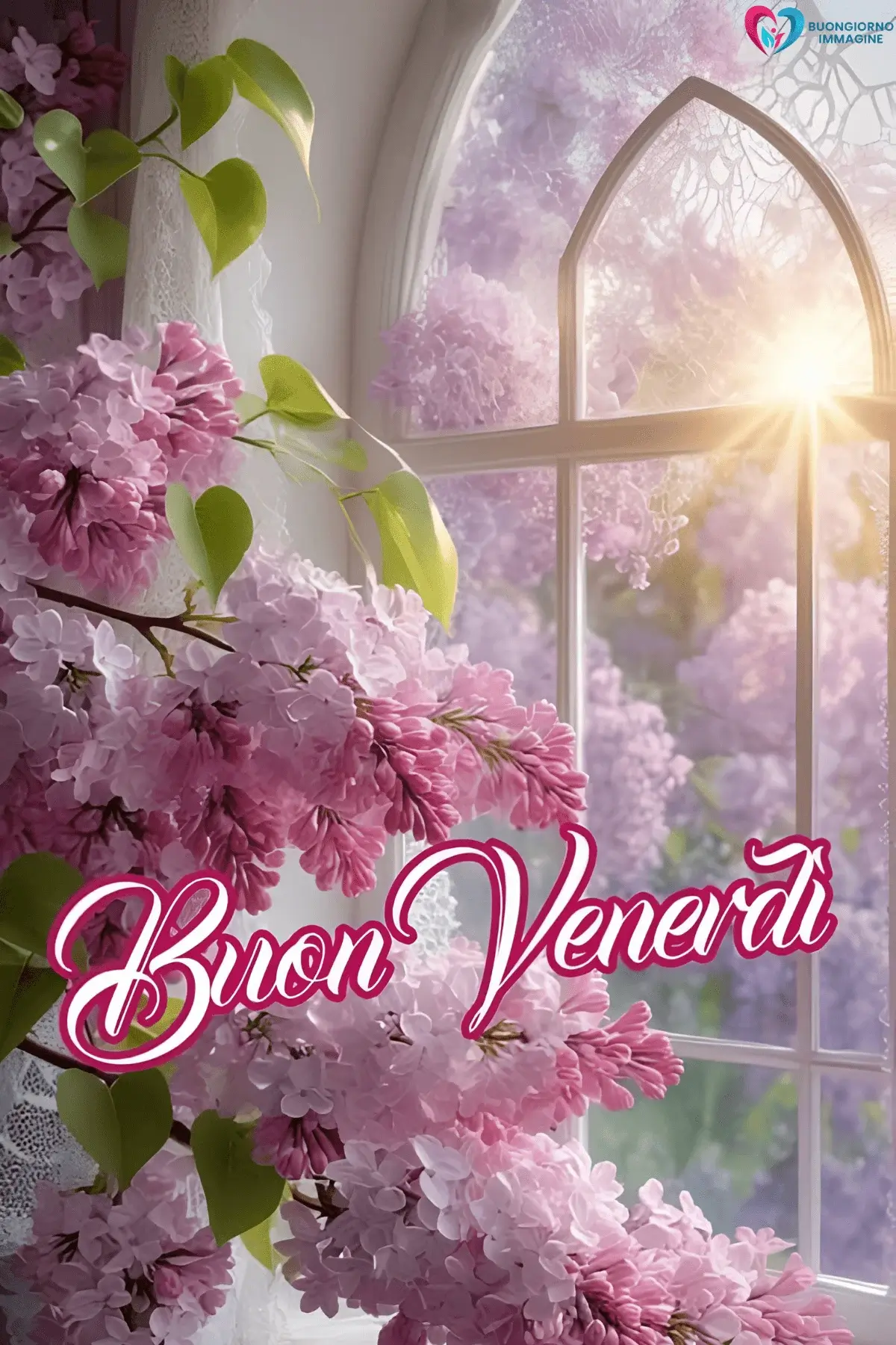immagini buongiorno venerdì con atmosfera serena naturale
