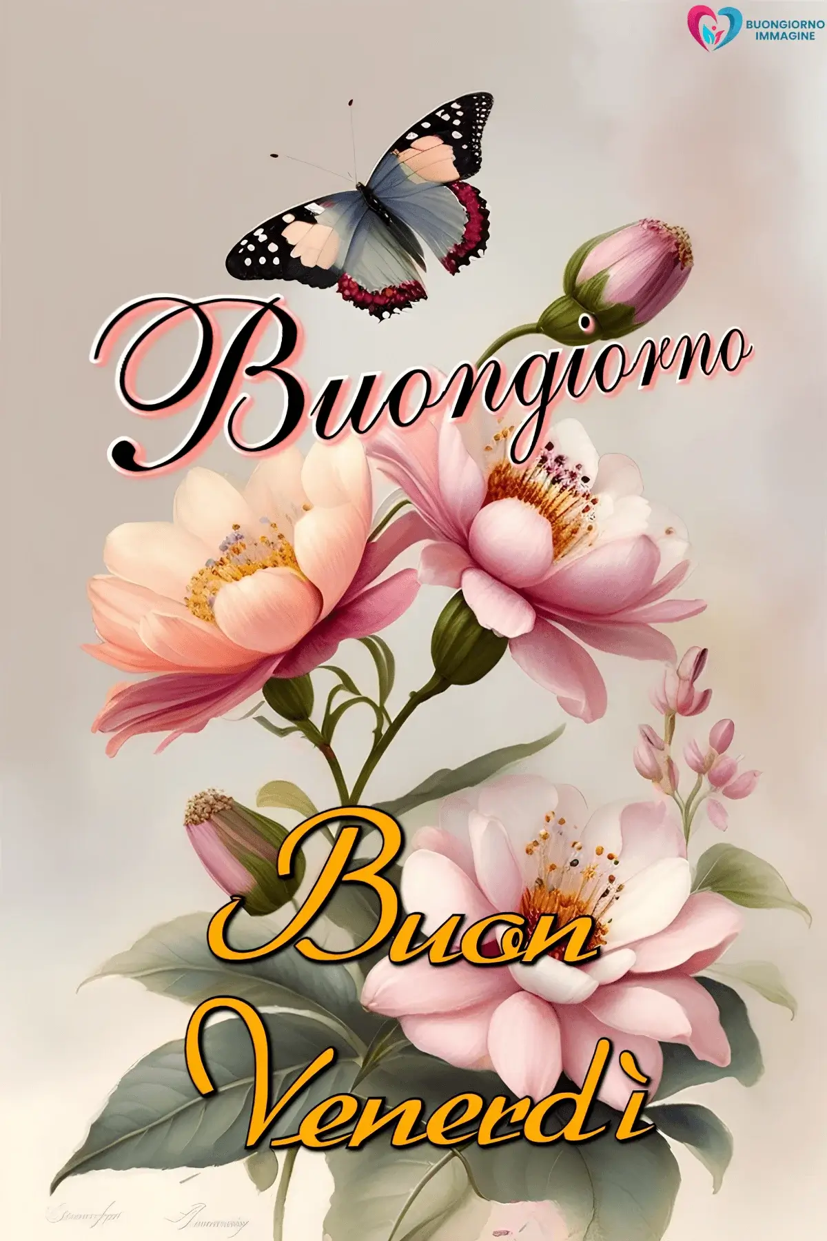 immagini buongiorno venerdì con luce naturale calda