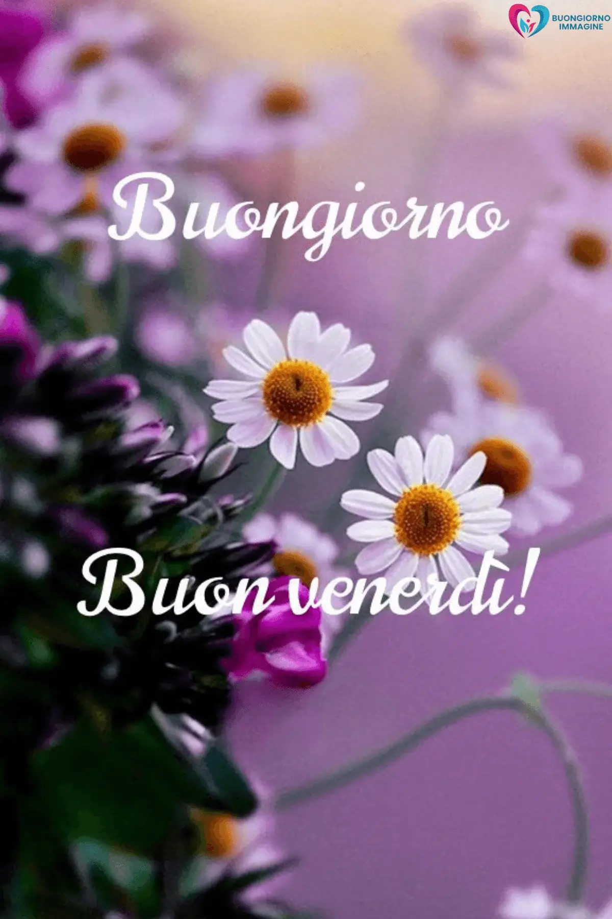 immagini buongiorno venerdì con natura rilassante