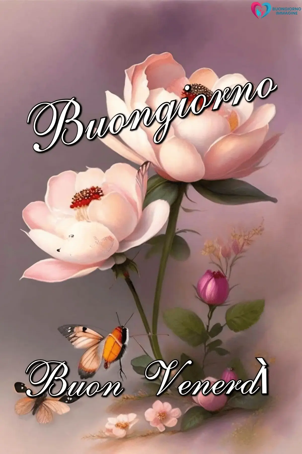 immagini buongiorno venerdì con sfondo luminoso (2)