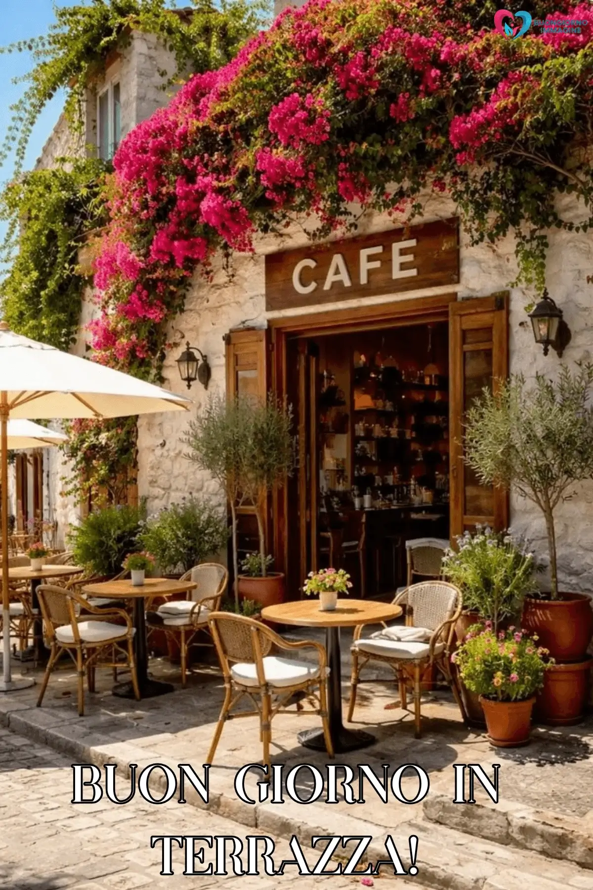 nuove immagini buongiorno estivo café terrazza fiori bougainville